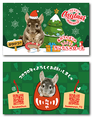 チンチラのペット名刺