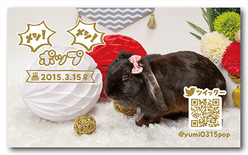 長方形ペット名刺の裏面画像