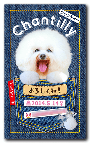 長方形ペット名刺画像