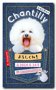 犬のペット名刺