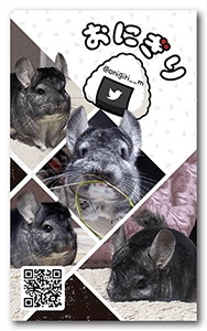 チンチラのペット名刺