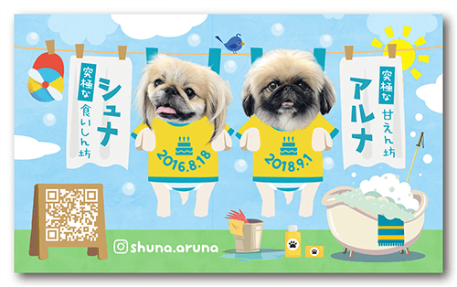 犬（多頭飼い）の長方形ペット名刺画像