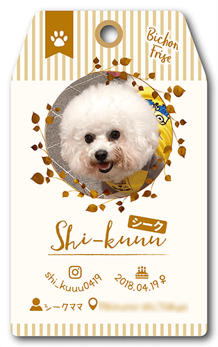 型抜きペット名刺画像