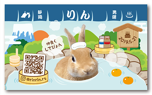 犬（多頭飼い）の長方形ペット名刺画像