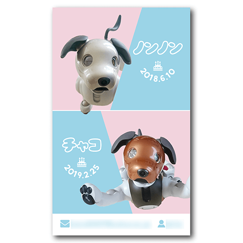 長方形ペット名刺画像