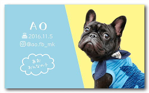 長方形ペット名刺の表面画像