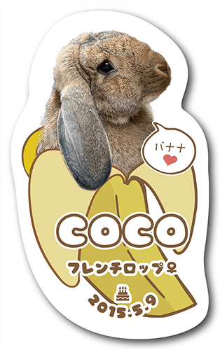 型抜きペット名刺の表面画像