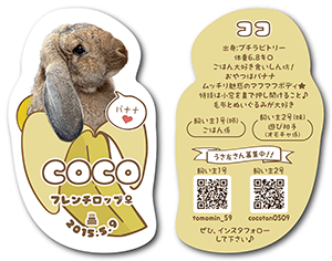 うさぎのペット名刺