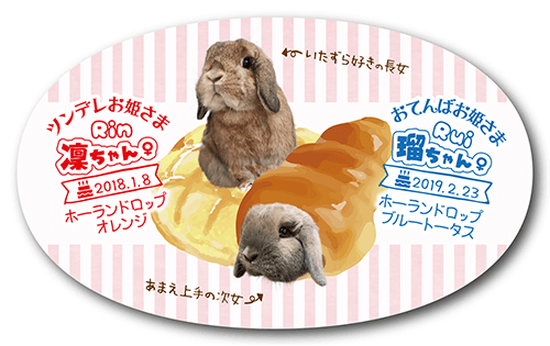 型抜きペット名刺の画像1