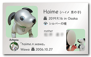 aiboのペット名刺