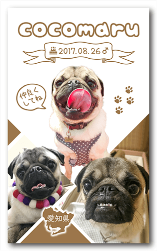 ペット名刺の裏面画像