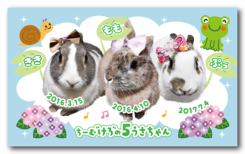 長方形ペット名刺の表面画像