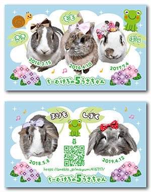 うさぎ（多頭飼い）のペット名刺