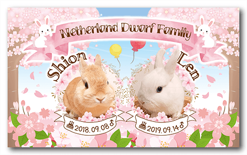 長方形ペット名刺の表面画像