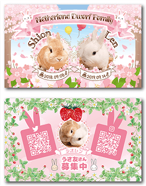 うさぎ（多頭飼い）のペット名刺