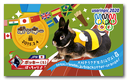 長方形ペット名刺の表面画像