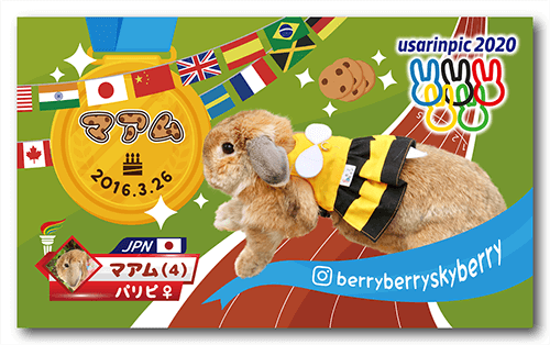 長方形ペット名刺の裏面画像