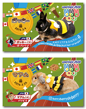 うさぎ（多頭飼い）のペット名刺