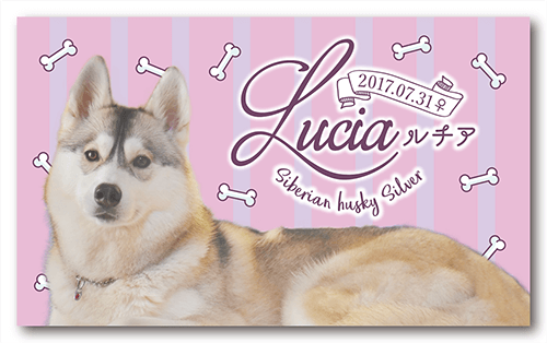 長方形ペット名刺の表面画像