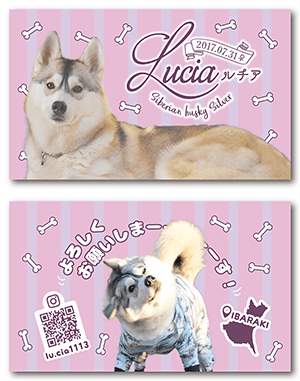 犬のペット名刺