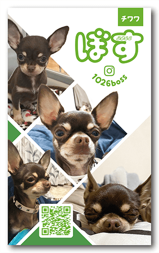 長方形ペット名刺画像