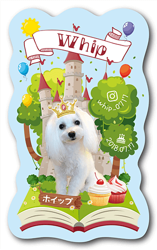 型抜きペット名刺画像