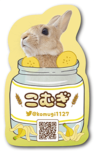 うさぎのペット名刺