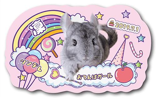 型抜きペット名刺の表面画像