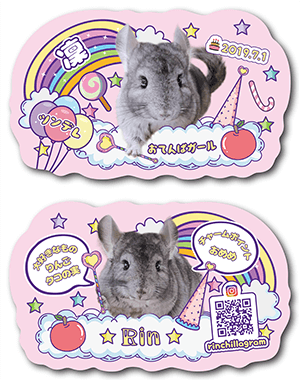 チンチラのペット名刺