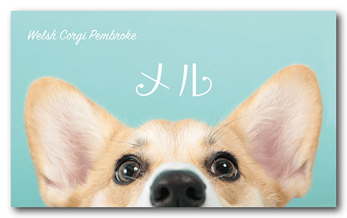 長方形ペット名刺の表面画像