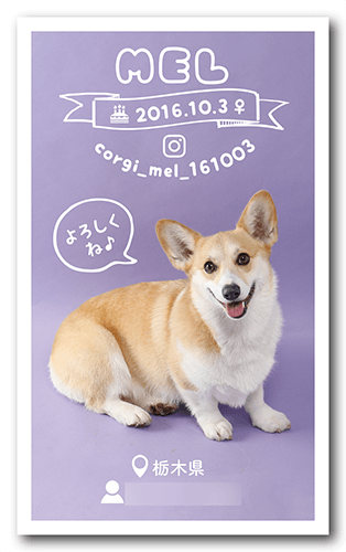 長方形ペット名刺の裏面画像