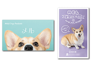 犬のペット名刺