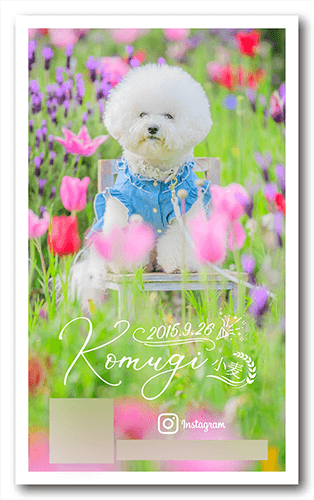 犬の長方形ペット名刺画像