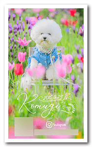 犬のペット名刺