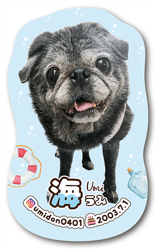 型抜きペット名刺の表面画像