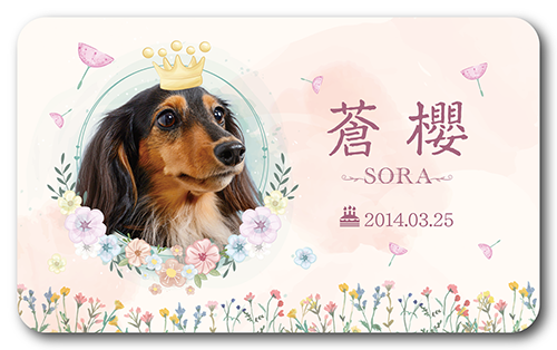 長方形ペット名刺の表面画像