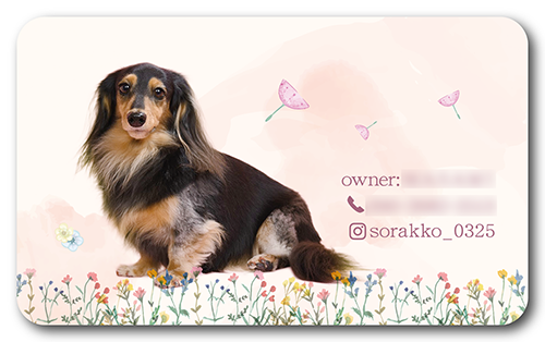 長方形ペット名刺の裏面画像