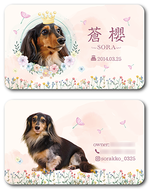 犬のペット名刺