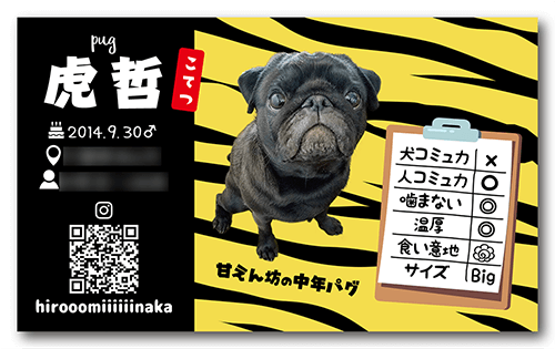 長方形ペット名刺の表面画像