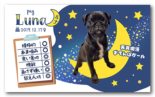 長方形ペット名刺の裏面画像