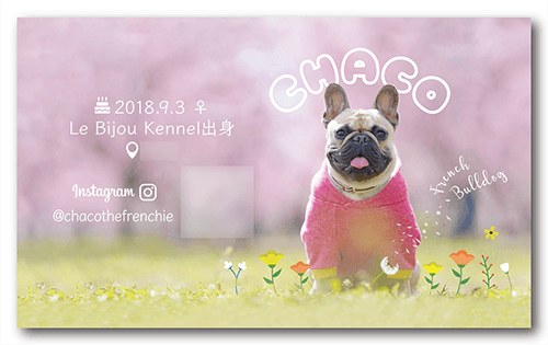 犬の長方形ペット名刺画像