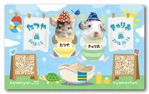 長方形ペット名刺の画像