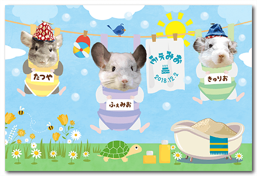 ポストカードの画像