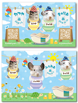 チンチラのペット名刺とポストカード
