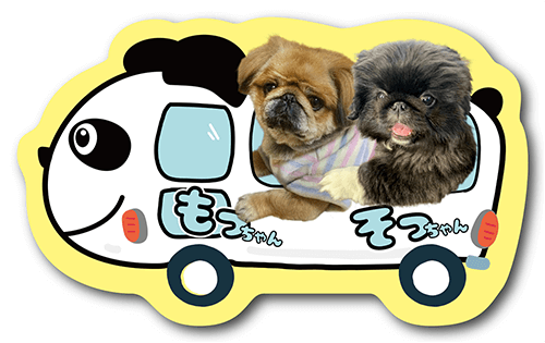 型抜きペット名刺裏面画像