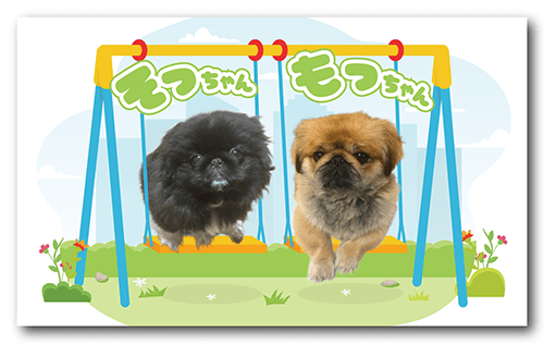 長方形ペット名刺表面画像