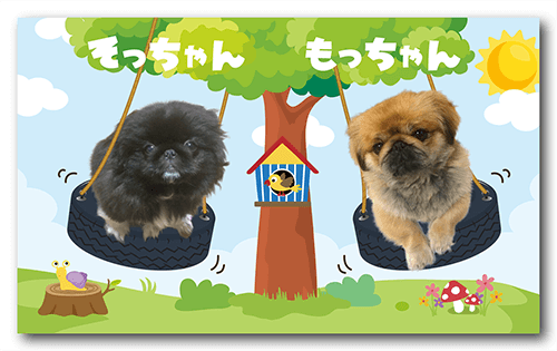 長方形ペット名刺表面画像