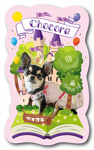 型抜きペット名刺の表面画像