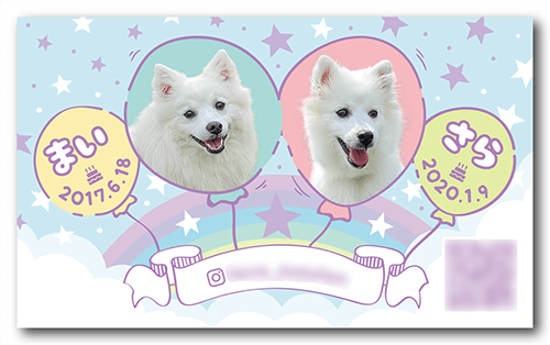 犬（多頭飼い）の長方形ペット名刺画像