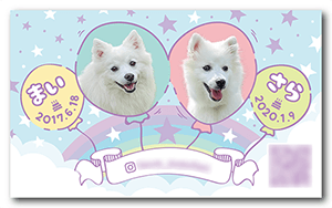 犬のペット名刺